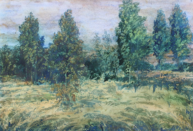 Молодой березник, художник Степан Климчук, акварель, 43x62см